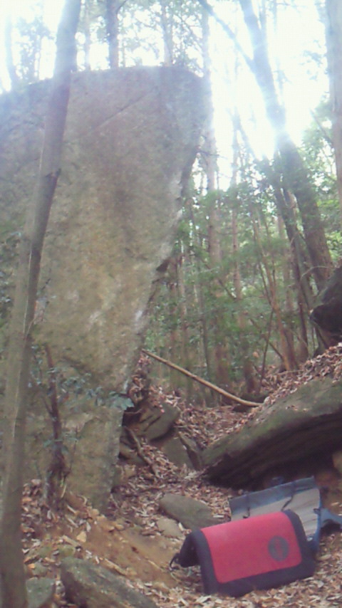 d0189918_044174.jpg