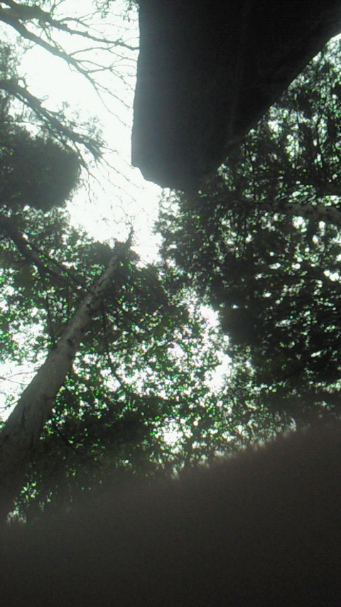 d0189918_0495661.jpg