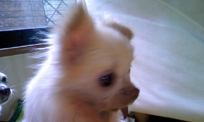 c0150520_0304955.jpg