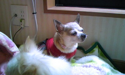 c0150520_0312392.jpg