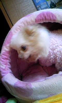 c0150520_031987.jpg