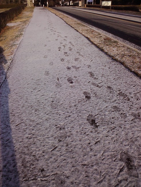 c0202520_224642.jpg