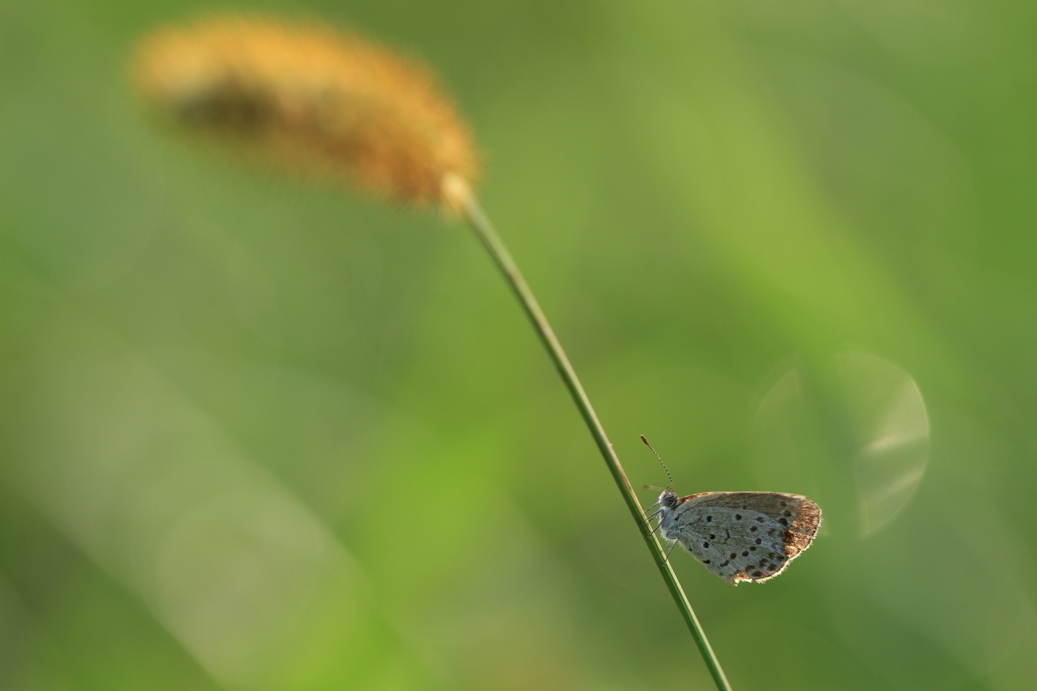 b0146723_1053761.jpg