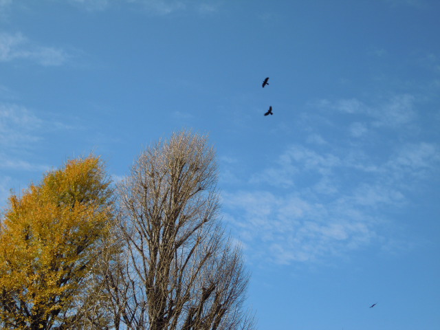 e0081334_0302766.jpg