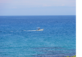 b0178335_3222439.jpg