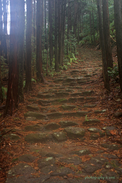 e0083238_2321047.jpg
