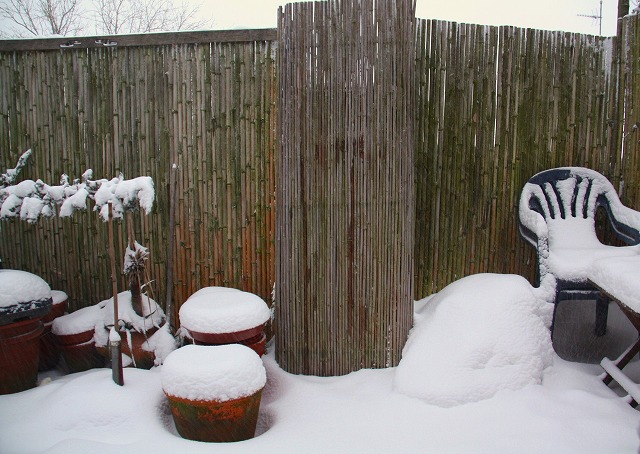 c0153740_135820.jpg