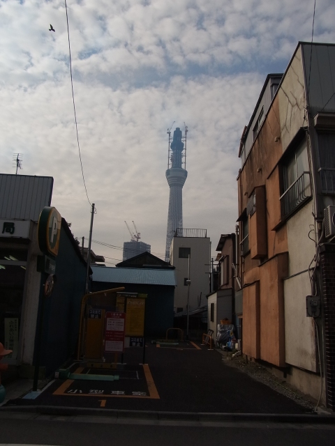 a0087341_1640469.jpg
