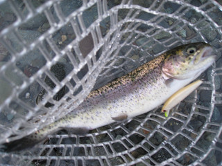 f0065341_22165449.jpg