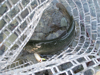 f0065341_2218428.jpg