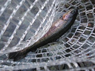 f0065341_22203785.jpg