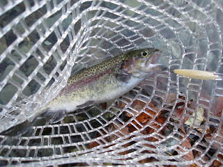 f0065341_2220667.jpg