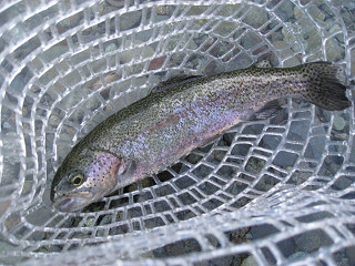 f0065341_22214474.jpg