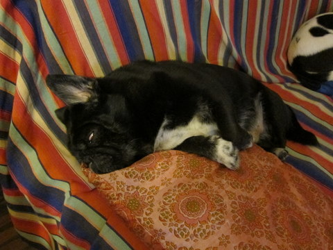 e0018143_1322633.jpg