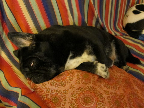 e0018143_1324750.jpg