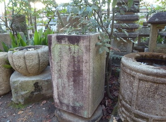 e0126548_13394898.jpg