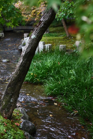 e0171249_21215258.jpg