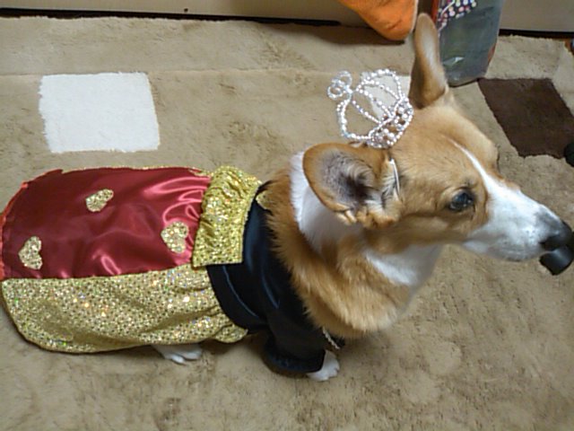 a0150850_22273719.jpg