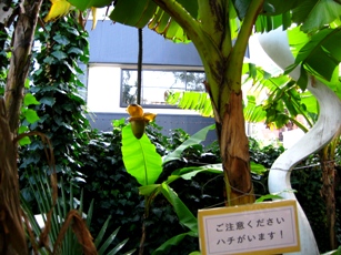 a0022951_1112725.jpg
