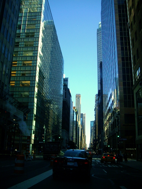a0159652_1541404.jpg