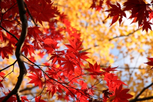 c0201257_16215366.jpg