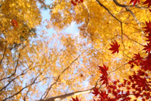 c0201257_16223097.jpg
