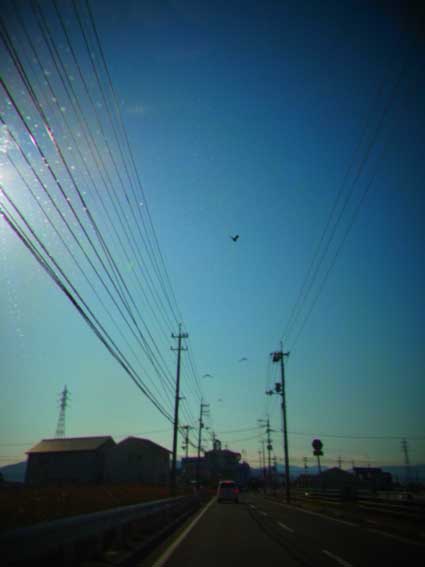 d0029958_19494861.jpg