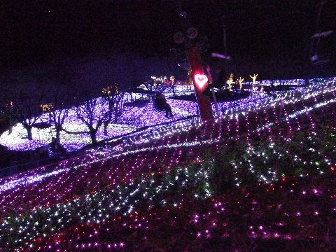 e0088260_221709.jpg