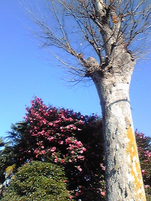 b0145863_21183070.jpg
