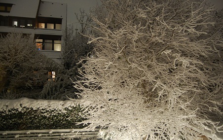 f0097363_19275961.jpg