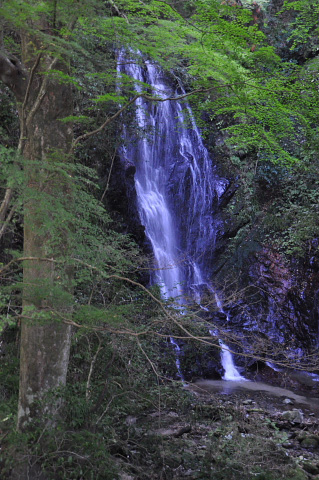 b0053765_2320432.jpg