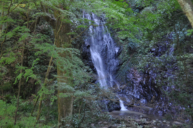 b0053765_23245166.jpg