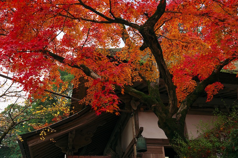 b0131167_1119913.jpg