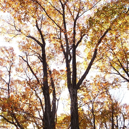 f0115475_2002186.jpg