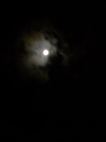 d0164783_23165074.jpg