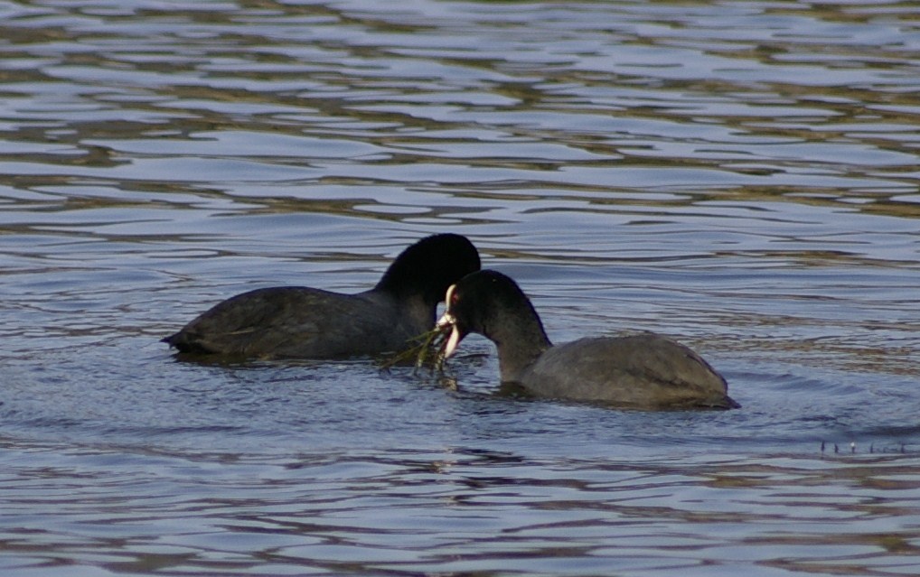 e0197884_201544.jpg