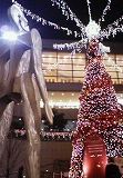 c0226487_2172830.jpg