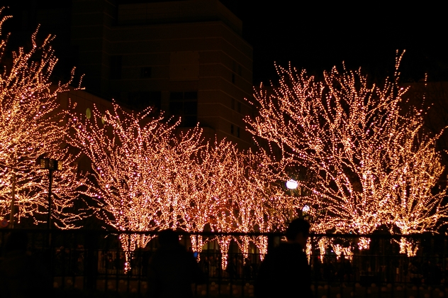 b0080789_20471312.jpg