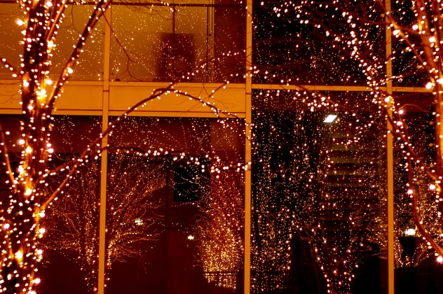 b0080789_20493533.jpg