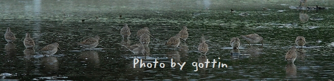 c0213690_0293237.jpg