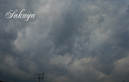 e0122194_1714877.jpg