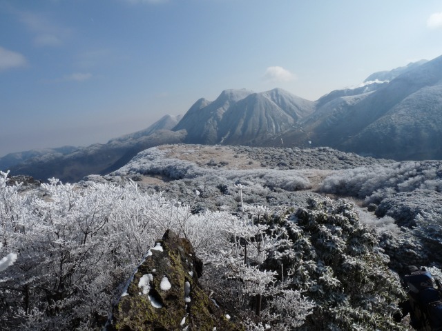 b0025101_610110.jpg