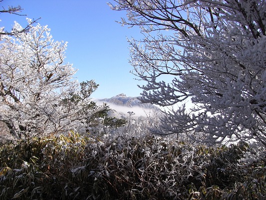 f0187402_18312881.jpg