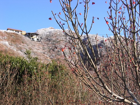 f0187402_18314556.jpg