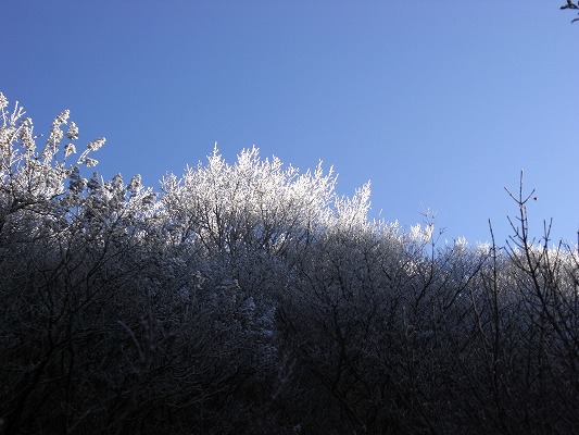 f0187402_1831548.jpg