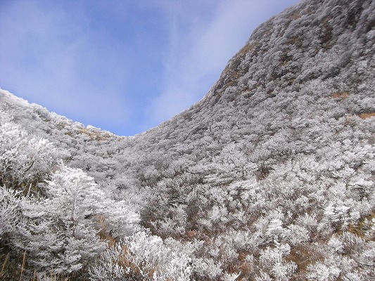 f0187402_1833814.jpg