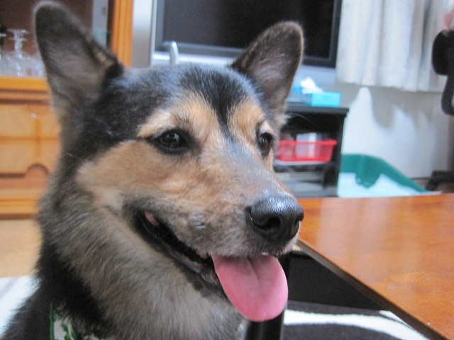 f0202703_2352745.jpg
