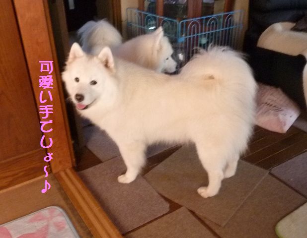 e0018604_1632081.jpg