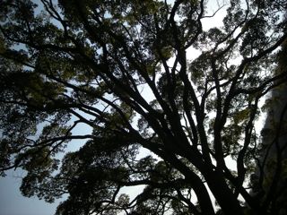 b0183911_23282964.jpg