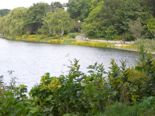 e0167411_956506.jpg